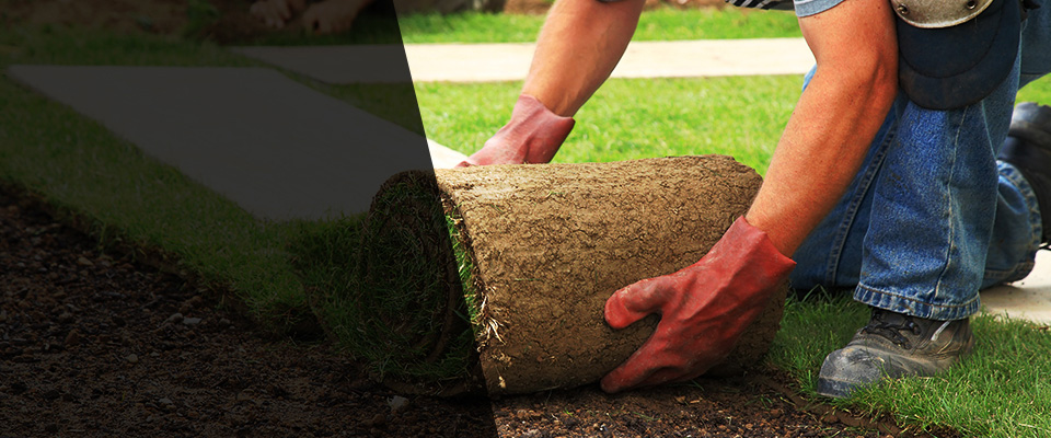 Carmel By The Sea Landscapers